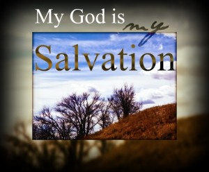 bb3a1a974ab1a2af84b32f14bbcc74fb