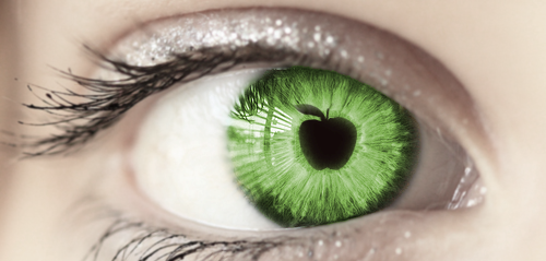 80bfe10711f736461eb3f46462703675